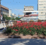 фотобанк СарБК - ИА СаратовБизнесКонсалтинг