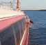 В Ярославской области село на мель судно на водных крыльях - Газета Новый вестник
