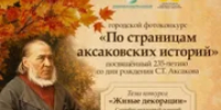 В Уфе пройдет онлайн-фотоконкурс «По страницам аксаковских историй» - Башинформ