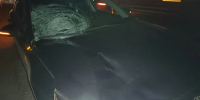Смертельный наезд под Ишимом: Kia Optima насмерть сбила 59-летнего мужчину на трассе Тюмень — Омскфото - Комсомольская правда