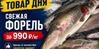 Товар дня. Свежая форель за 990 ₽/кг - Блокнот Волжского
