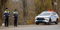 За сутки 27 августа на Ставрополье отстранили от управления 20 пьяных водителей - ИА Победа 26