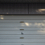image - GazetaRB.Ru