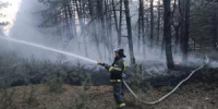 Пожар в Лозновском лесу локализовали - DonDay-Volgodonsk.Ru