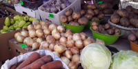 рынок, ярмарка, овощи, картофель - Инфокам