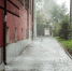 Фото: ПАИ - InformPskov.Ru