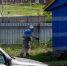 Ленобласть за год дала садоводствам на обустройство 65,6 миллиона рублей - 47 новостей
