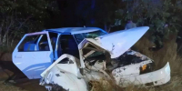 В Домбаровке автомобиль врезался в дерево: спасатели деблокировали пострадавших - ProOren.Ru