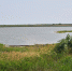 пруд - Novosti-Saratova.Ru