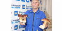 Лесной дар: В макарьевских лесах начался сезон «тихой охоты» - Газета Макарьевский вестник