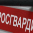 Росгвардейцы пресекли более 40 правонарушений за неделю в Тульской области - Комсомольская Правда