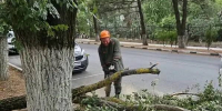 Последствия сильного ветра устраняют в Новороссийске - Газета Краснодарские известия