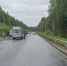В Коми мусоровоз насмерть сбил велосипедиста - Комсомольская Правда