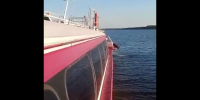 В Ярославской области на Волге теплоход с туристами сел на мель - Ярославский регион