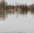 Фото Дениса Моргунова - Tumentoday.Ru