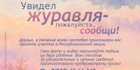 В Башкортостане стартует ежегодная акция по учету серых журавлей - Сетевое издание Ufaved.Info