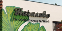 78978968799 - Сетевое издание Арбуз