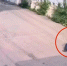 В Новокузнецке арестовали мужчину, который похитил 5-летнего мальчика - Магсити74