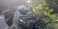 Выяснилось, кем могли быть погибшие в ДТП с вылетевшим авто в Воронежской области - МОЁ! Online