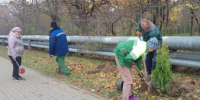 Зелёный каркас Новороссийска: вдоль школьных заборов появится 300 тысяч кустарников - Ngnovoros.Ru