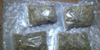 Донские пограничники обнаружили наркотики у девушки в нижнем белье и игрушке - Панорама