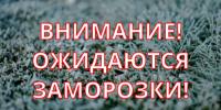 Метеопредупреждение №183. - Красноборский муниципальный округ