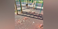 Под Воронежем в поселке Стрелица вандалы повредили спортплощадку - РИА Воронеж