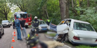 В Балтийском округе «Мерседес» врезался в дерево: водителя деблокировали спасатели - Kaskad.TV