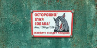 Томич выплатил 150 тысяч девочке за нападение пса после ареста банковских счетов - Комсомольская Правда