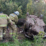 В Малой Вишере в перевернувшейся автомашине погибла женщина - 53news.Ru