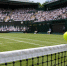 Каспер Рууд снялся с одиночного разряда US Open из-за травмы спины - ИА Общественная служба новостей