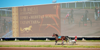 На казанском ипподроме прошли скачки в честь Дня республики - Казанские ведомости