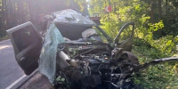 Многодетные родители погибли в крупной аварии в Воронежской области - tvspb.ru - ТК Санкт-Петербург