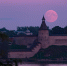 Фото Петра Митрофанова - InformPskov.Ru