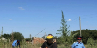41 килограмм дикорастущей конопли уничтожили в Морозовском районе - Bloknot-Morozovsk.Ru
