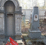 Память под зарослями: волонтёры спасают заброшенное кладбище в Бердске от забвения - Gorsite.Ru