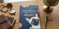 Российский инженер написал книгу о приключениях кошки и стал детским героем Фото №1 - Алтайская правда
