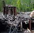 Тематическое фото PxHere - AmurMedia.Ru