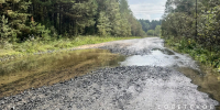 Причиной подтопления дороги Назарово — Каменный карьер стали… бобры. - Газета Советское Причулымье