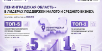 Ленинградская область вошла в пятерку лидеров рейтинга поддержки малого бизнеса - 47Channel.Ru