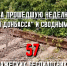 Кадр ТГ-канала "Донбасс решает" - НИА
