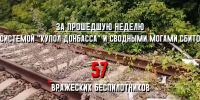 Кадр ТГ-канала "Донбасс решает" - НИА