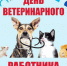 31 августа 2026 года – День ветеринарного работника. - Молчановский район