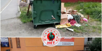 В Колтушском поселении ликвидировали шесть несанкционированных свалок - ЛенТВ24