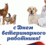 Уважаемые коллеги и ветераны ветеринарной службы! - Департамент по социально-экономическому развитию села