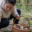 Гриб, который ценят больше белого: где искать в сентябре и почему новички его обходят стороной - Город Киров