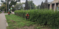 Коммунальщики продолжают наводить порядок на улицах Рубцовска - Rubtsovsk.Info