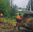 За неделю новосибирские дорожники вывезли 1,6 тысячи кубометров мусора - Gorsite.Ru