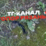 гадюка в Солотче - РИА 7 Новостей
