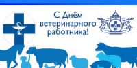 Поздравление главы Советского района В.П. Ошуева С Днём ветеринарного работника - Администрация Советского района